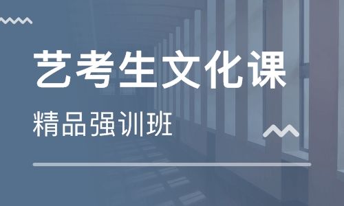 臨汾高三藝考文化課百日沖刺輔導