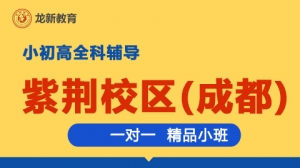 成都龍新教育一對一 個性化輔導（紫荊校區）
