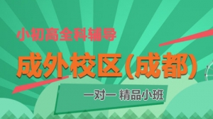 成都龍新教育一對一 個性化輔導（成外校區）
