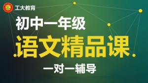 朔州初一語文一對一輔導(dǎo)