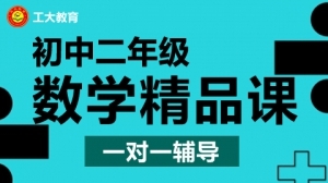 朔州初二數(shù)學一對一輔導