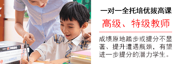 VIP高考1對1課程
